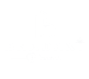 Bhadani Infratech